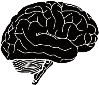 brain icon